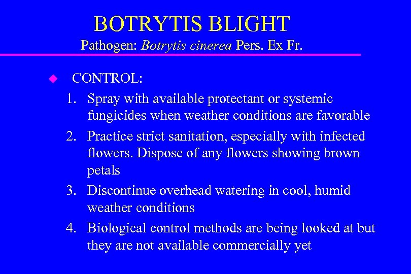 BOTRYTIS BLIGHT Pathogen: Botrytis cinerea Pers. Ex Fr. u CONTROL: 1. Spray with available