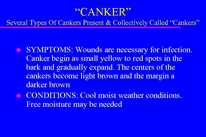 “CANKER” Several Types Of Cankers Present & Collectively Called “Cankers” u u SYMPTOMS: Wounds