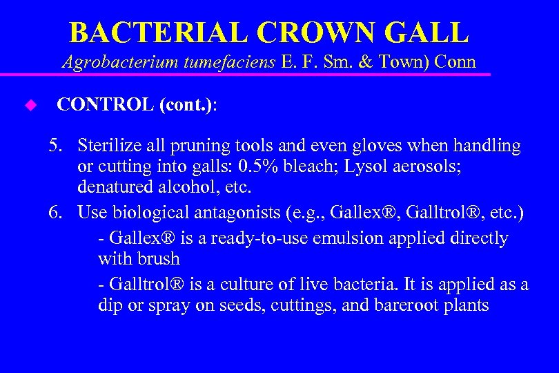 BACTERIAL CROWN GALL Agrobacterium tumefaciens E. F. Sm. & Town) Conn u CONTROL (cont.