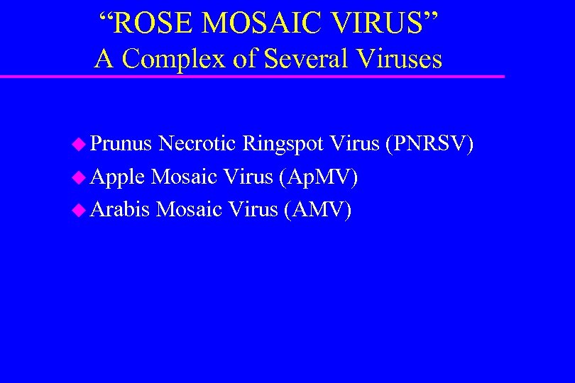 “ROSE MOSAIC VIRUS” A Complex of Several Viruses u Prunus Necrotic Ringspot Virus (PNRSV)