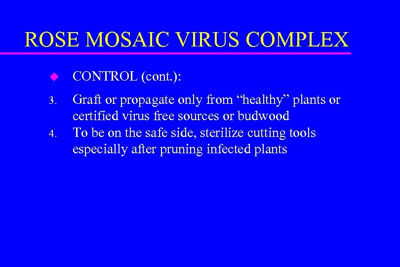 ROSE MOSAIC VIRUS COMPLEX u CONTROL (cont. ): 3. Graft or propagate only from