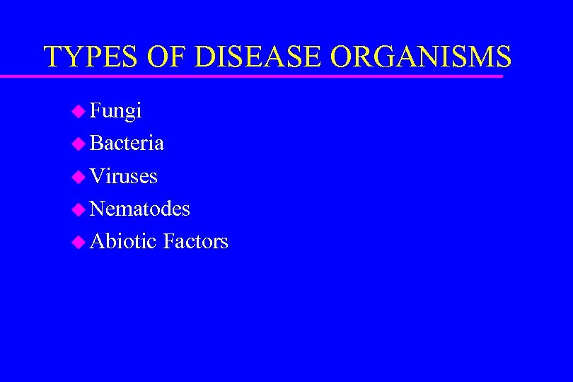 TYPES OF DISEASE ORGANISMS u Fungi u Bacteria u Viruses u Nematodes u Abiotic