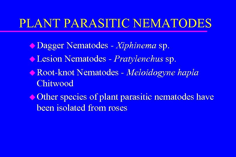 PLANT PARASITIC NEMATODES u Dagger Nematodes - Xiphinema sp. u Lesion Nematodes - Pratylenchus