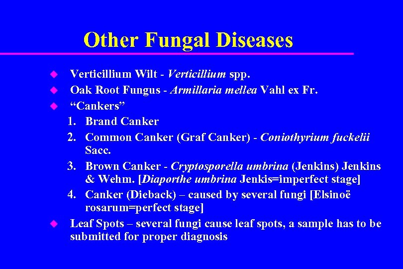 Other Fungal Diseases u u Verticillium Wilt - Verticillium spp. Oak Root Fungus -