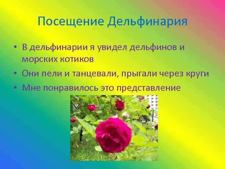 Посещение Дельфинария • В дельфинарии я увидел дельфинов и морских котиков • Они пели