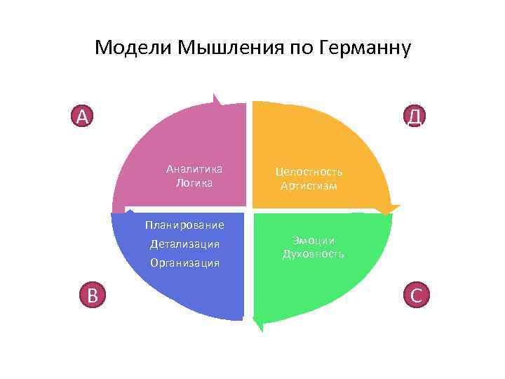 Модели Мышления по Германну А Д Аналитика Логика Планирование Детализация Организация В Целостность Артистизм