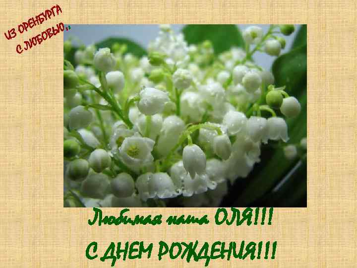 А УРГ ЕНБ Ю, , ОР ИЗ ОВЬ Б ЛЮ С Любимая наша ОЛЯ!!!