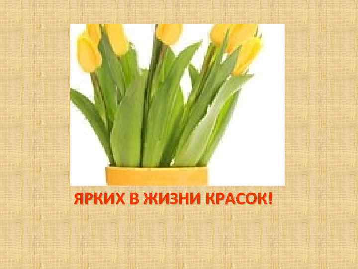 ЯРКИХ В ЖИЗНИ КРАСОК! 