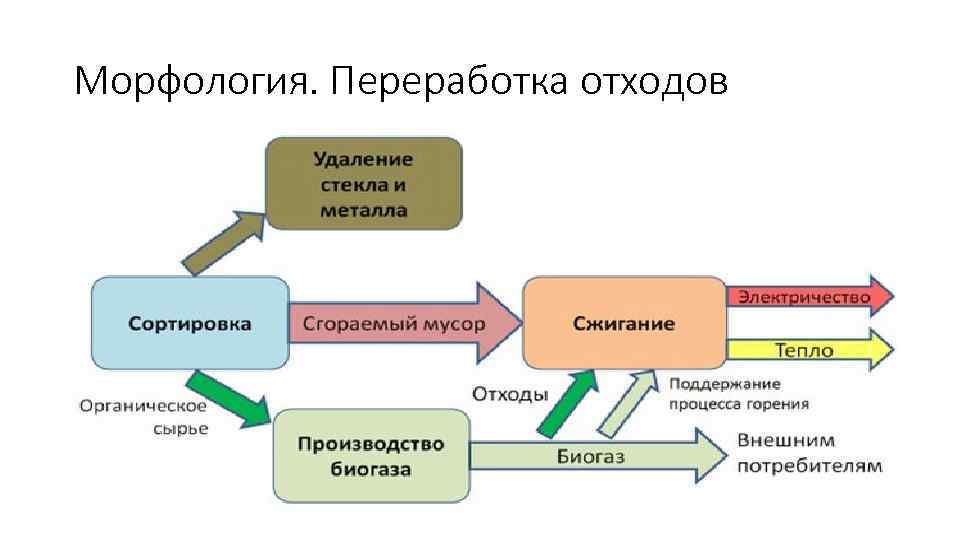 Морфология. Переработка отходов 