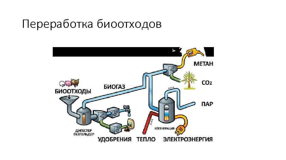 Переработка биоотходов 