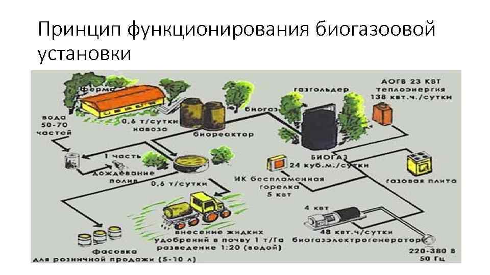 Принцип функционирования биогазоовой установки 