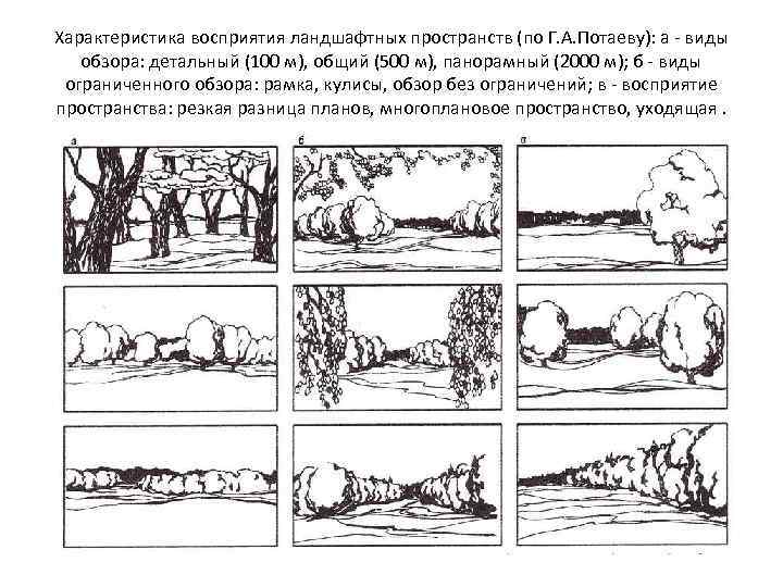 Характеристика восприятия ландшафтных пространств (по Г. А. Потаеву): а - виды обзора: детальный (100