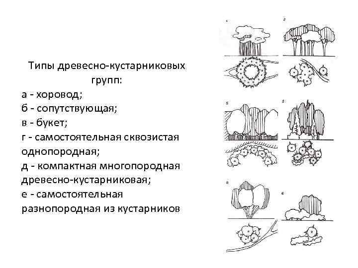 Типы древесно-кустарниковых групп: а - хоровод; б - сопутствующая; в - букет; г -