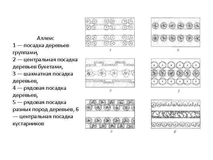 Аллеи: 1 — посадка деревьев группами, 2 — центральная посадка деревьев букетами, 3 —