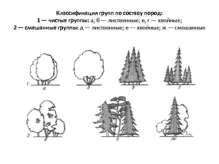 Классификация групп по составу пород: 1 — чистые группы: а, б — лиственные; в,