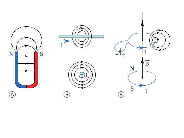 Проводник расположенный перпендикулярно магнитному полю. Линии магнитной индукции постоянного тока. Линии магнитной индукции вокруг магнита. Вектор магнитной индукции в дугообразном магните. Линии магнитной индукции магнита ..........виткам катушки.