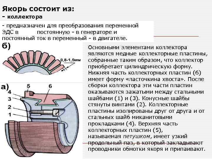 Якорь состоит из: - коллектора - сердечника якоря - предназначен для преобразования переменной -