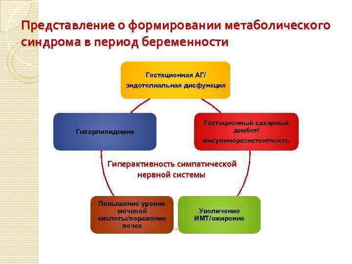 Представление о формировании метаболического синдрома в период беременности Гестационная АГ/ эндотелиальная дисфункция Гиперлипидемия Гестационный