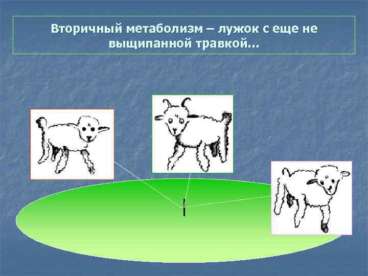 Вторичный метаболизм – лужок с еще не выщипанной травкой… 
