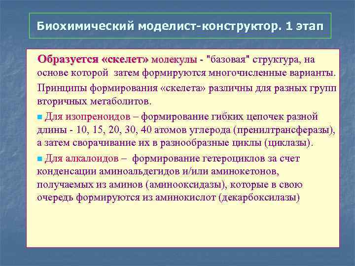 Биохимический моделист-конструктор. 1 этап Образуется «скелет» молекулы - "базовая" структура, на основе которой затем