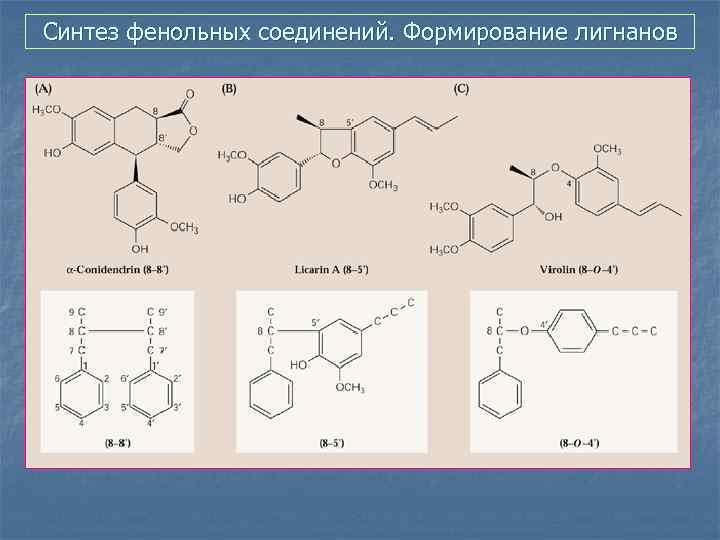 Синтез фенольных соединений. Формирование лигнанов 