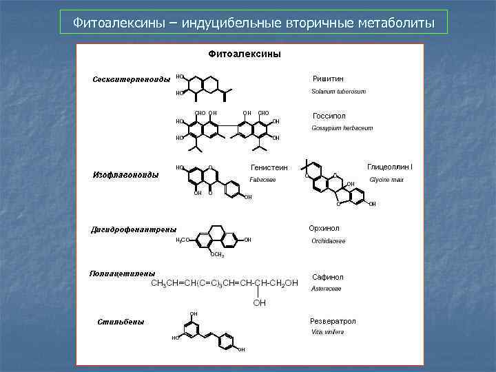Фитоалексины – индуцибельные вторичные метаболиты 