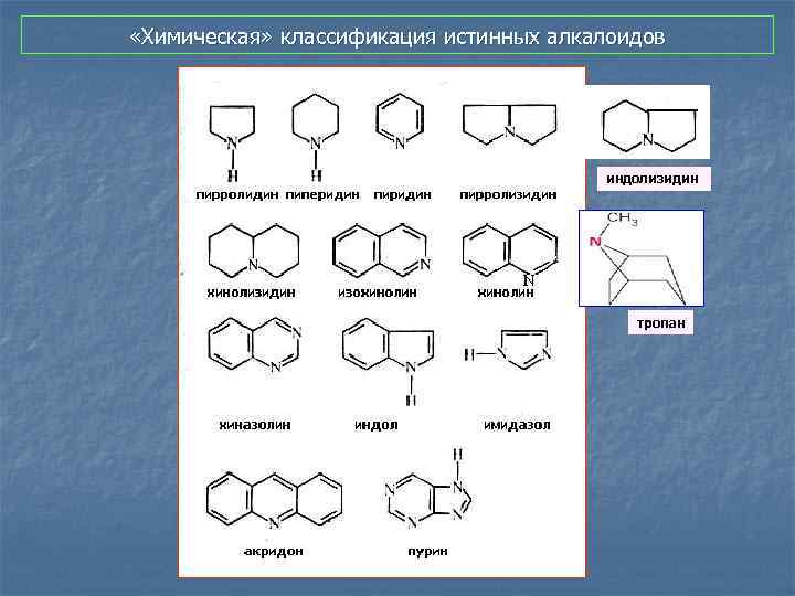  «Химическая» классификация истинных алкалоидов индолизидин тропан 