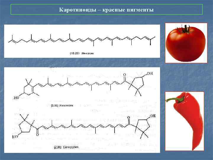 Каротиноиды – красные пигменты 