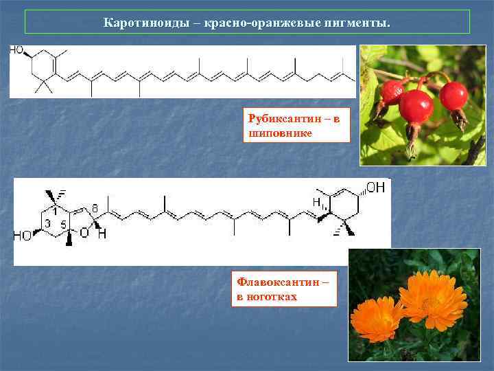 Каротиноиды – красно-оранжевые пигменты. Рубиксантин – в шиповнике Флавоксантин – в ноготках 