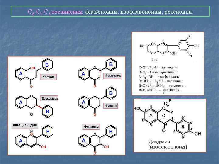 С 6 -С 3 -С 6 соединения: флавоноиды, изофлавоноиды, ротеноиды 