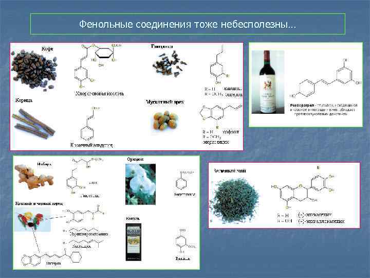 Фенольные соединения тоже небесполезны… 