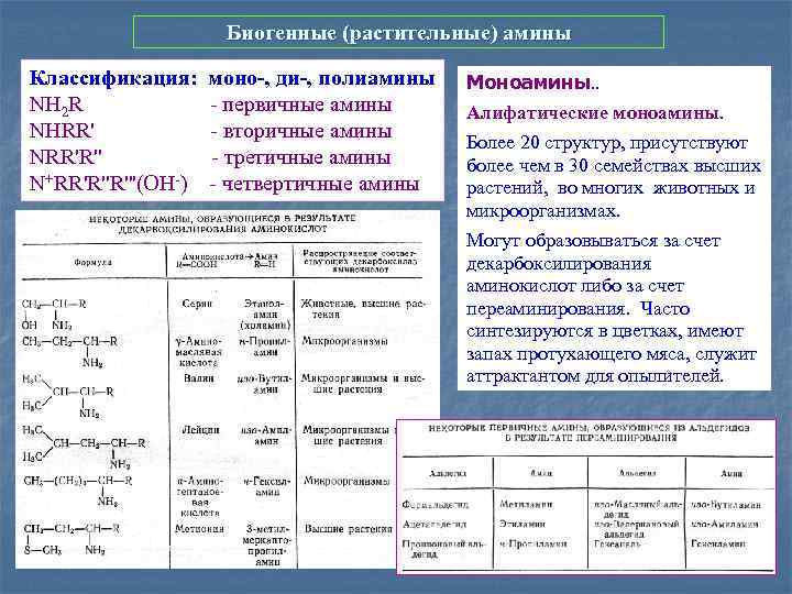 Биогенные (растительные) амины Классификация: моно-, ди-, полиамины NH 2 R - первичные амины NHRR'