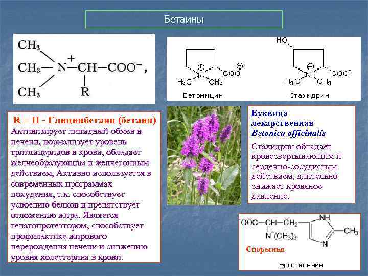 Бетаины R = H - Глицинбетаин (бетаин) Активизирует липидный обмен в печени, нормализует уровень