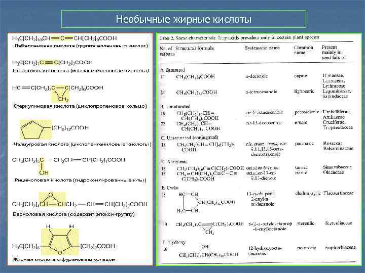 Необычные жирные кислоты 