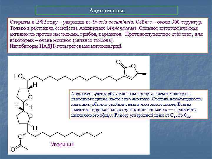 Ацетогенины. Открыты в 1982 году – уварицин из Uvaria accuminata. Сейчас – около 300