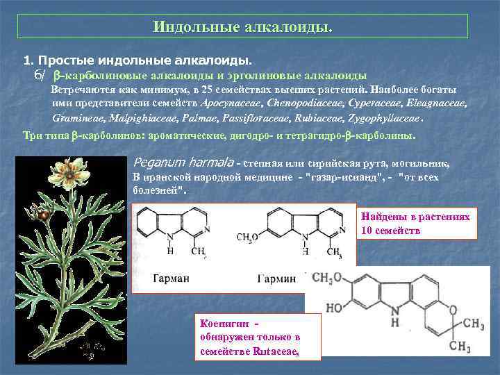 Индольные алкалоиды. 1. Простые индольные алкалоиды. б/ -карболиновые алкалоиды и эрголиновые алкалоиды Встречаются как