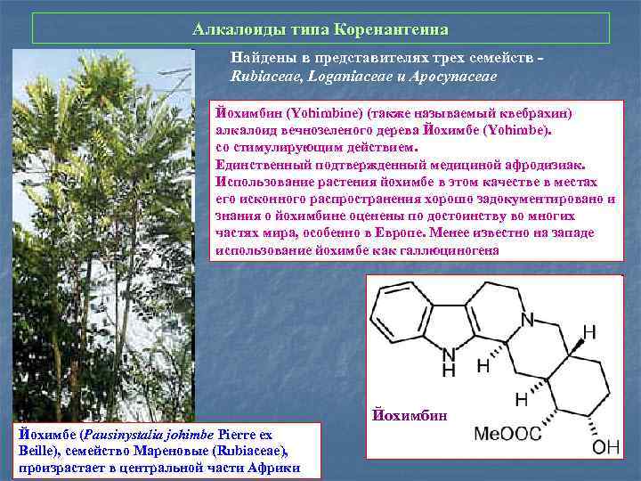 Алкалоиды типа Коренантеина Найдены в представителях трех семейств - Rubiaceae, Loganiaceae и Apocynaceae Йохимбин