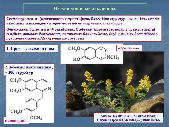 Изохинолиновые алкалоиды. Синтезируются из фенилаланина и триптофана. Более 1000 структур - около 10% от