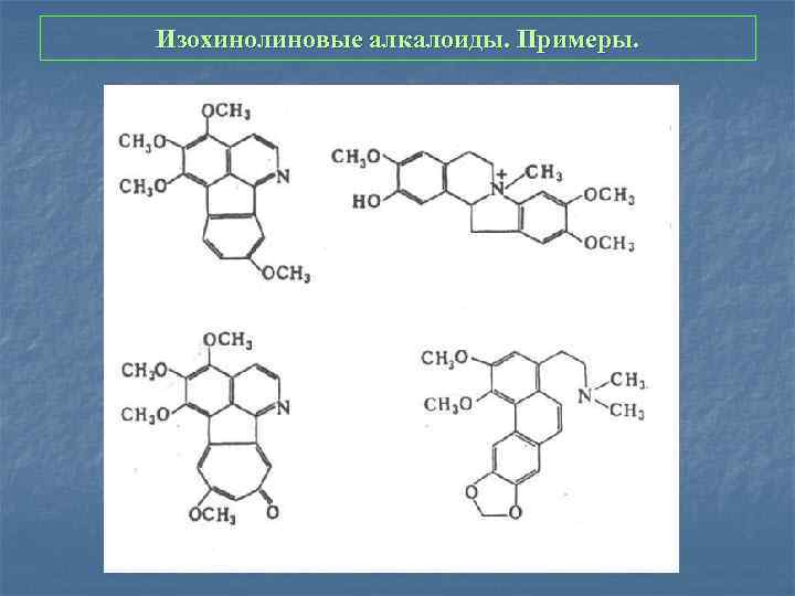 Изохинолиновые алкалоиды. Примеры. 