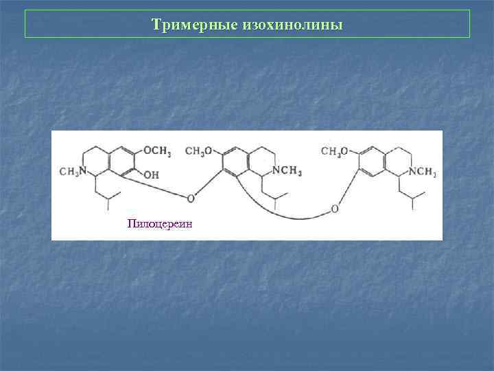Тримерные изохинолины Пилоцереин 