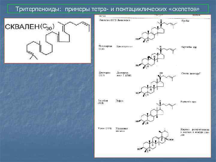 Тритерпеноиды: примеры тетра- и пентациклических «скелетов» 