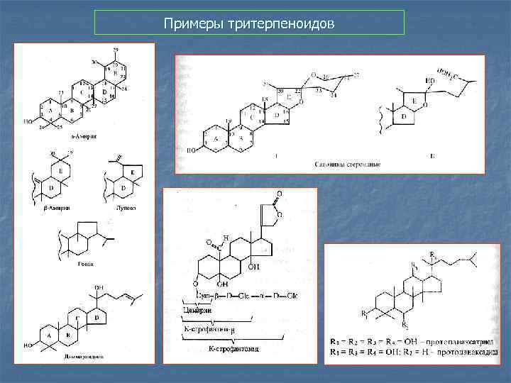 Примеры тритерпеноидов 