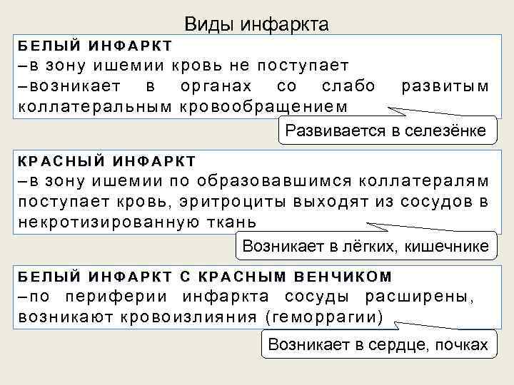 Виды инфаркта БЕЛЫЙ ИНФАРКТ –в зону ишемии кровь не поступает –возникает в органах со