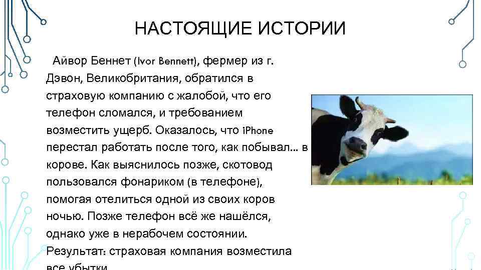 НАСТОЯЩИЕ ИСТОРИИ Айвор Беннет (Ivor Bennett), фермер из г. Дэвон, Великобритания, обратился в страховую