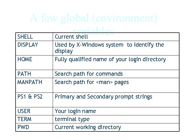 A few global (environment) variables SHELL Current shell DISPLAY HOME Used by X-Windows system