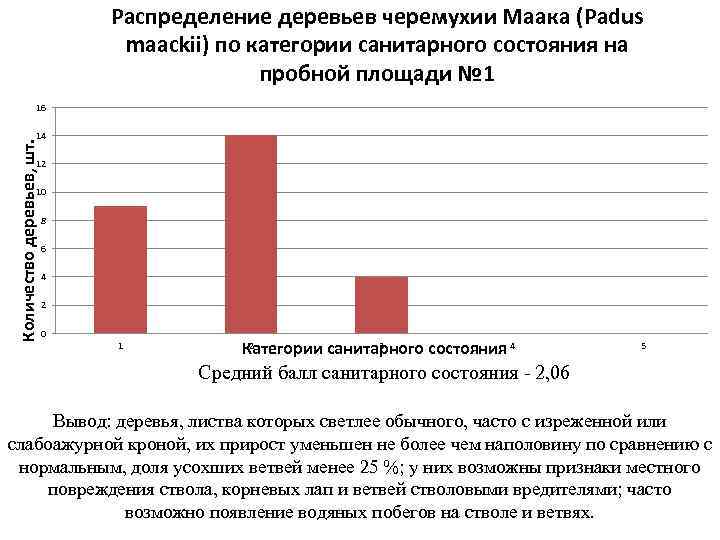 Распределение деревьев черемухии Маака (Padus maackii) по категории санитарного состояния на пробной площади №