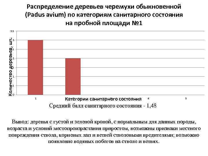 Распределение деревьев черемухи обыкновенной (Padus avium) по категориям санитарного состояния на пробной площади №