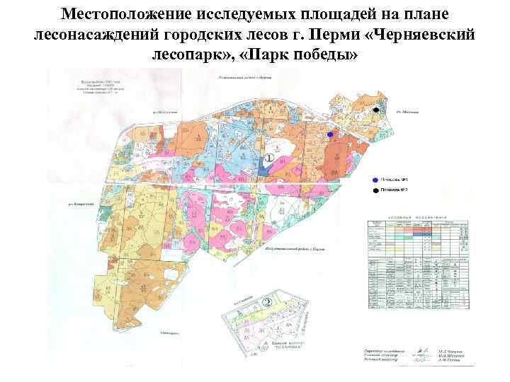 Местоположение исследуемых площадей на плане лесонасаждений городских лесов г. Перми «Черняевский лесопарк» , «Парк