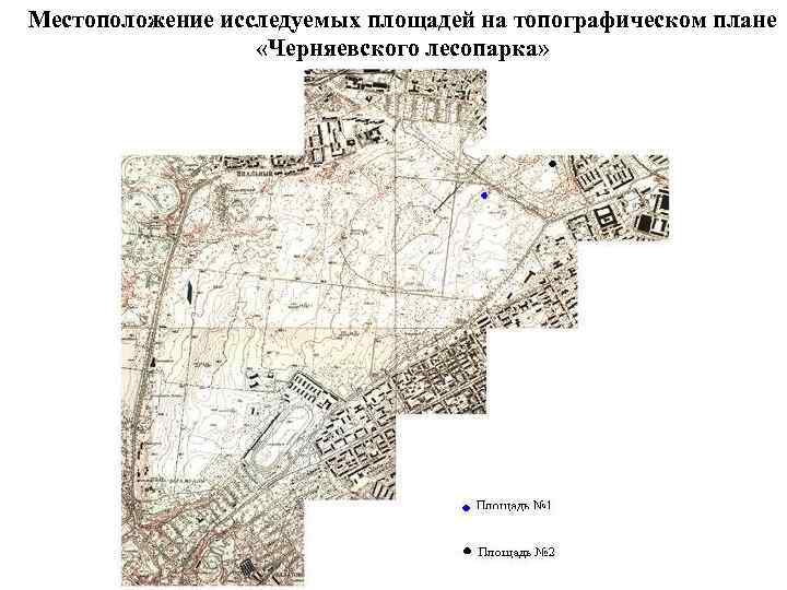 Местоположение исследуемых площадей на топографическом плане «Черняевского лесопарка» 