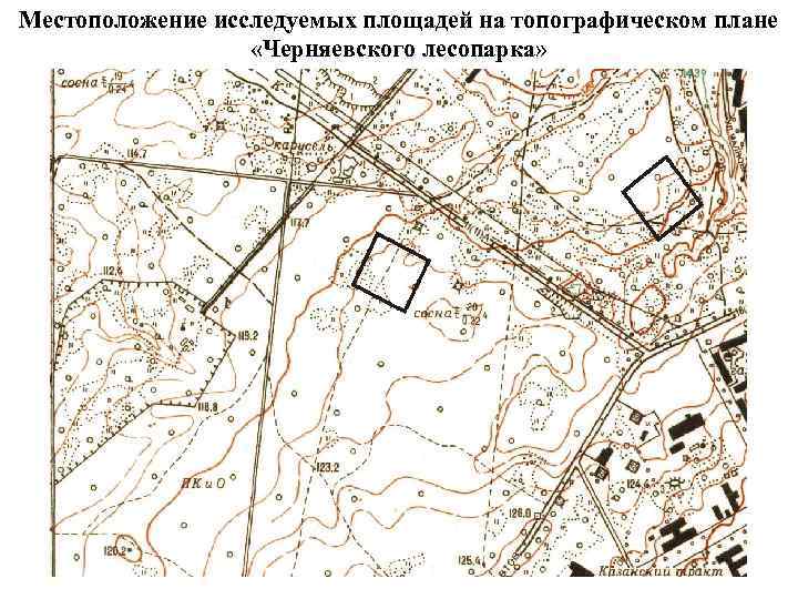 Местоположение исследуемых площадей на топографическом плане «Черняевского лесопарка» 